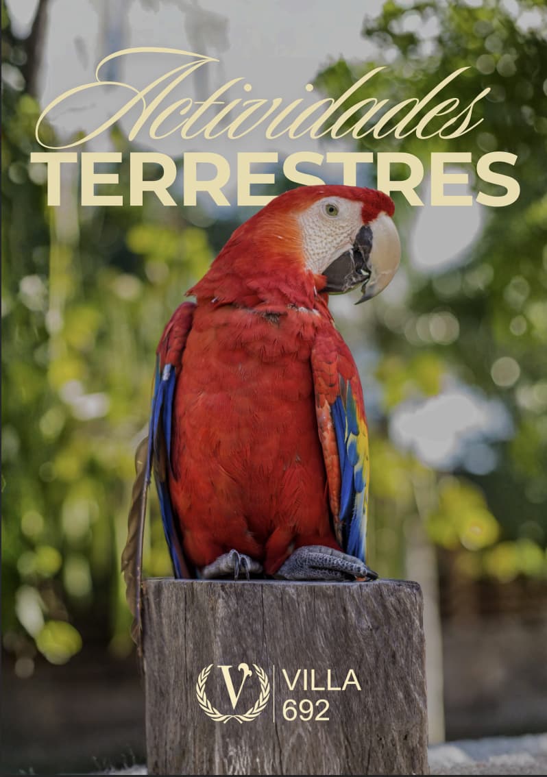 Actividades Terrestres en Villa 692