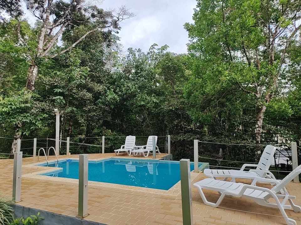 Piscina privada de Grandma con tumbonas